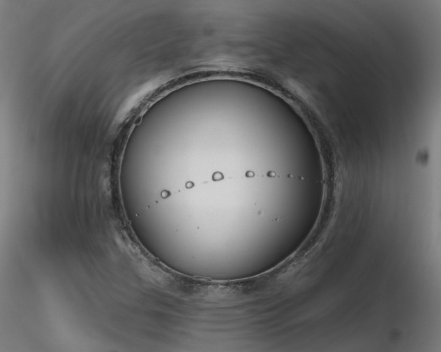 X0000116771307200912171524