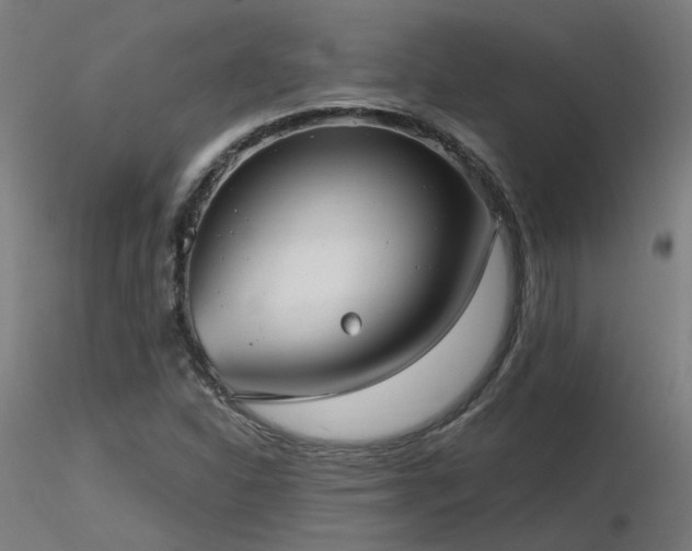 X0000116771310200912171524