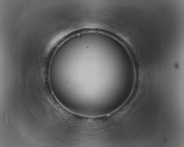 X0000116771311200912171524