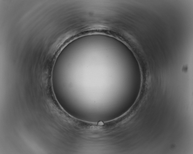 X0000116771313200912171524