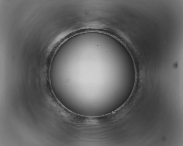 X0000116771315200912171524