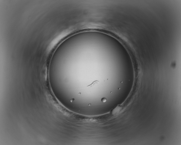 X0000116771317200912171524