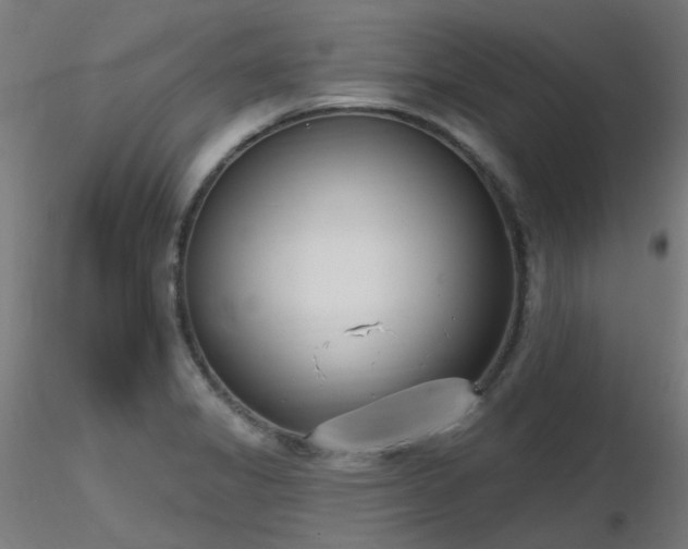 X0000116771325200912171524