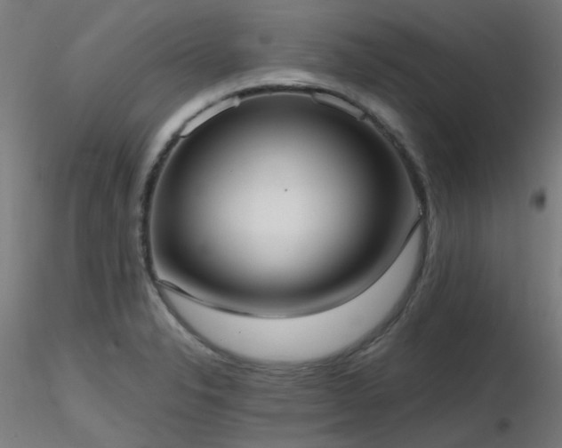 X0000116771326200912171524