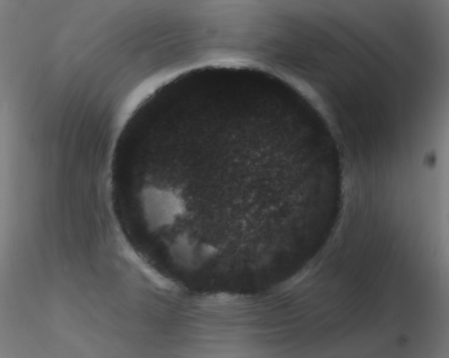 X0000116771327200912171524