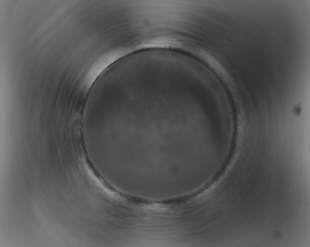 X0000116771329200912171524