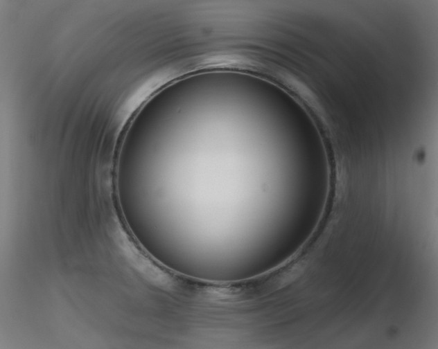 X0000116771330200912171524