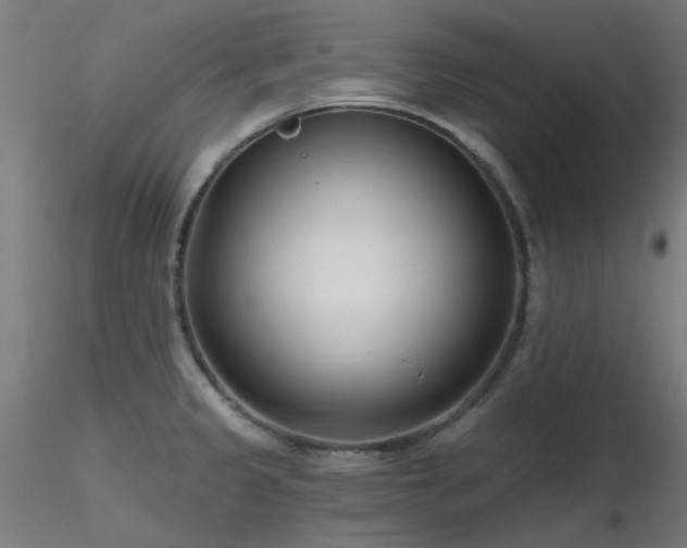 X0000116771333200912171524