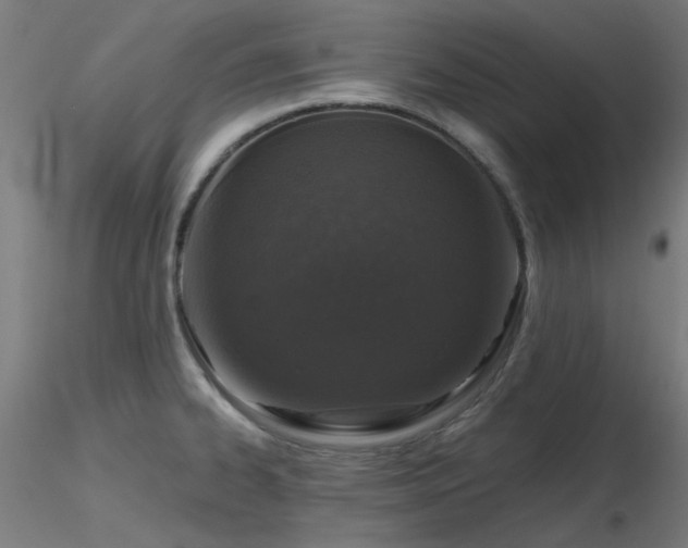 X0000116771334200912171524