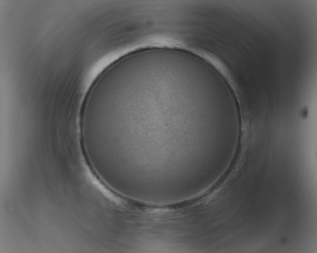X0000116771335200912171524