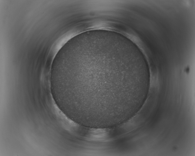 X0000116771338200912171524