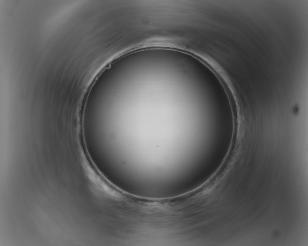 X0000116771341200912171525