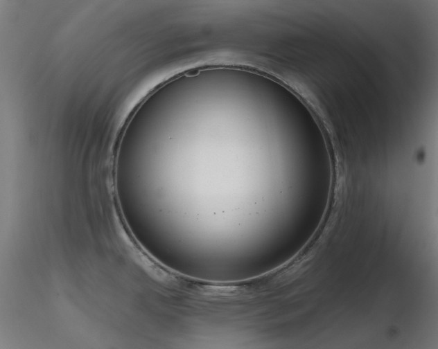 X0000116771342200912171525
