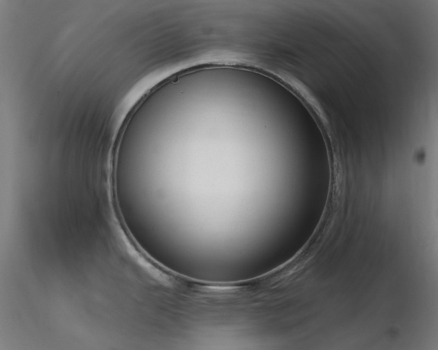 X0000116771343200912171525