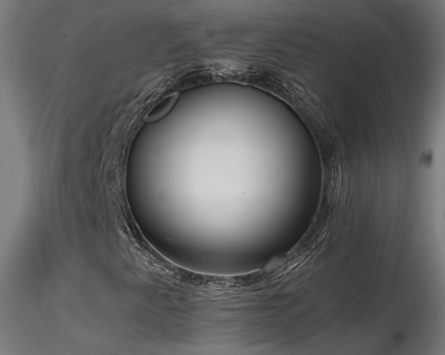 X0000116771345200912171524