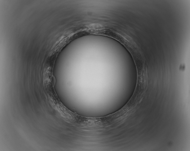 X0000116771346200912171524