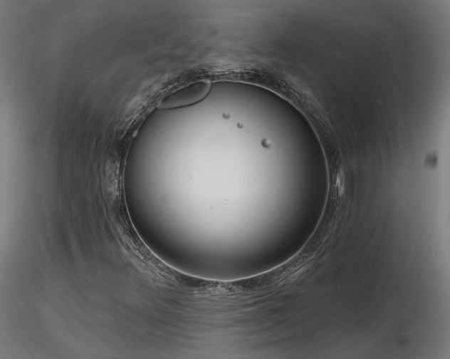 X0000116771348200912171524