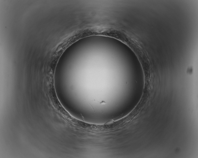 X0000116771349200912171524