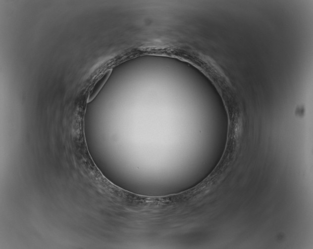 X0000116771350200912171524