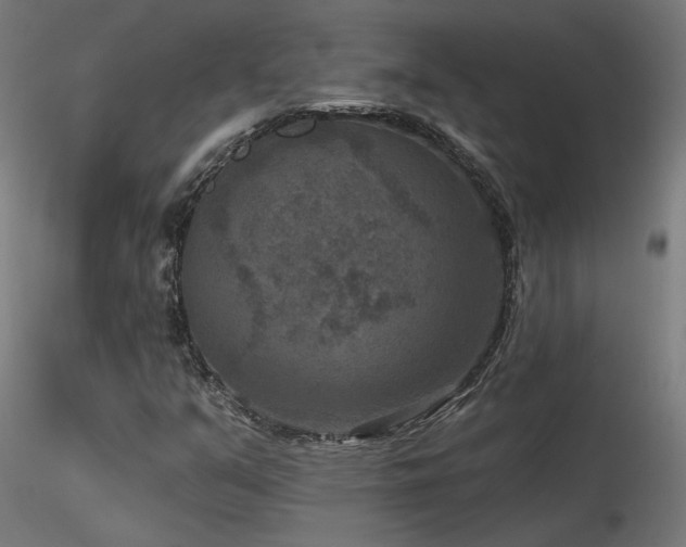X0000116771351200912171524