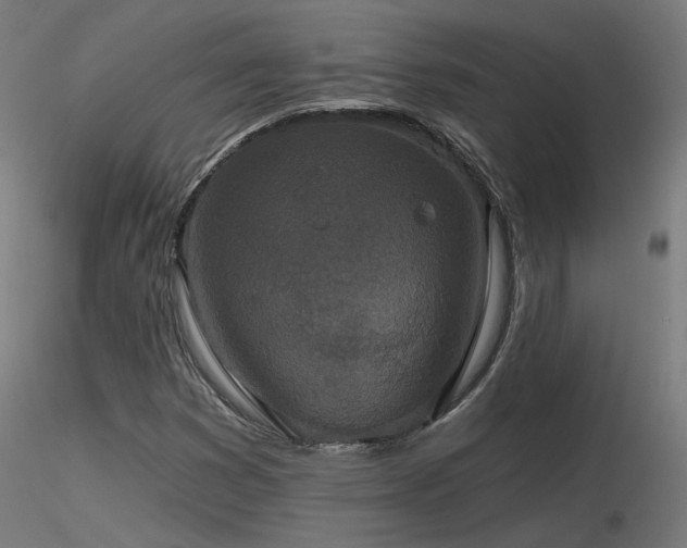 X0000116771353200912171523