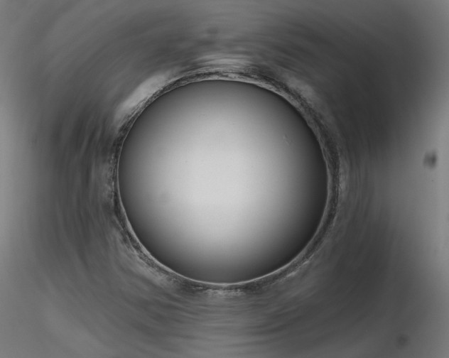 X0000116771354200912171523