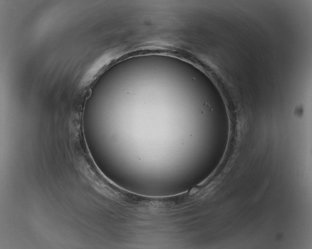 X0000116771355200912171523