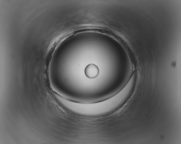 X0000116771357200912171523