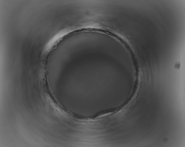X0000116771359200912171523