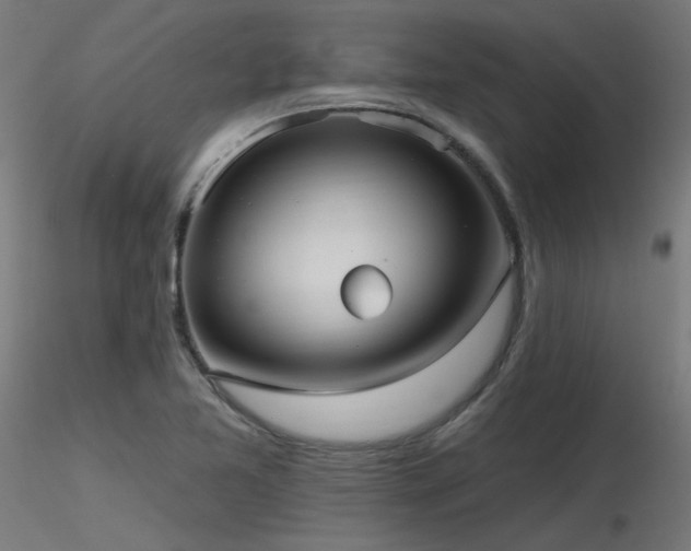 X0000116771365200912171523