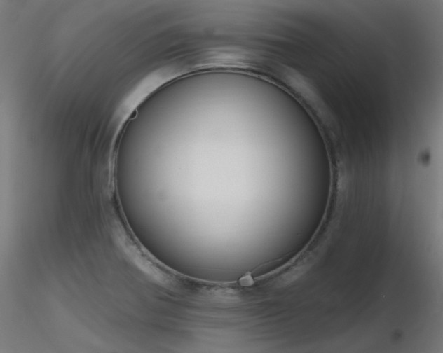 X0000116771370200912171523