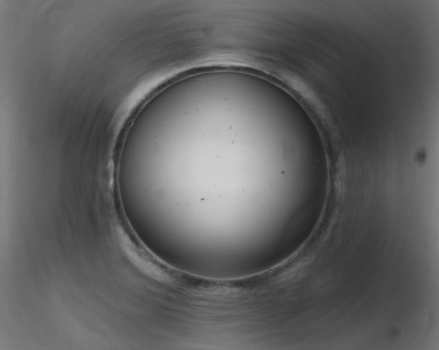 X0000116771372200912171523