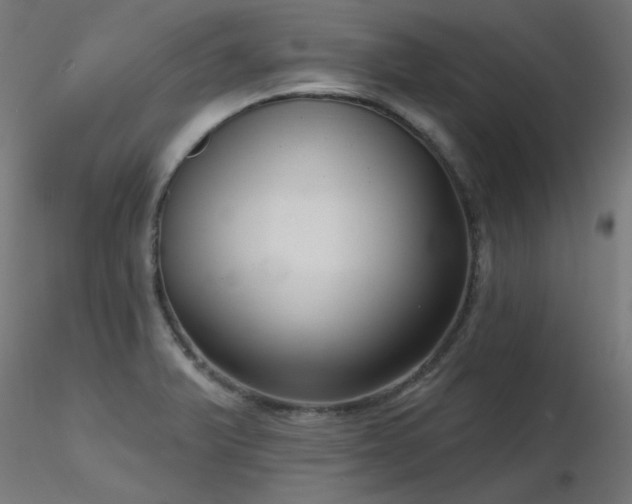X0000116771375200912171523