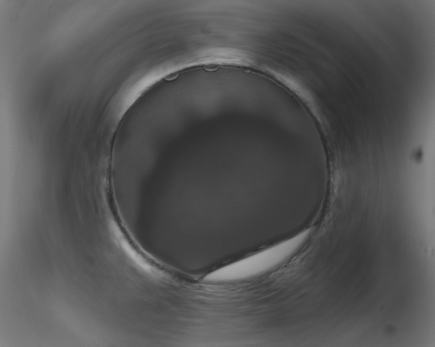 X0000116771383200912171523