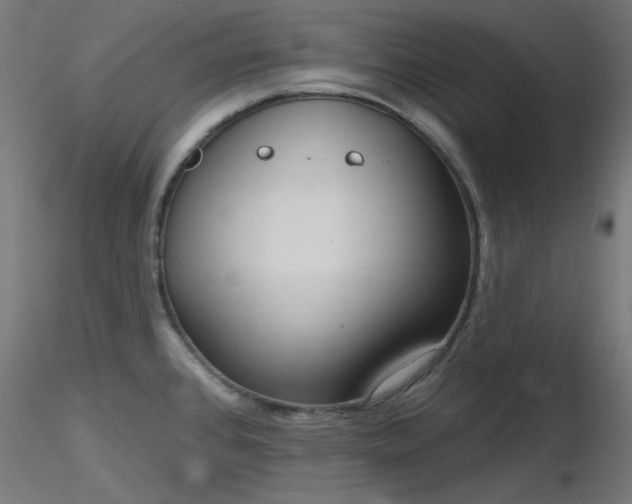X0000116771384200912171523