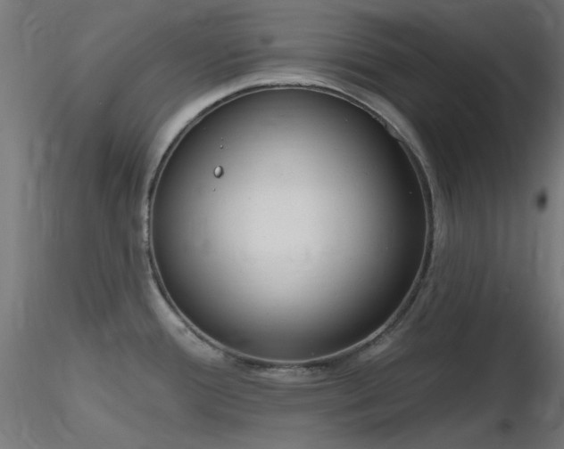 X0000116771388200912171523