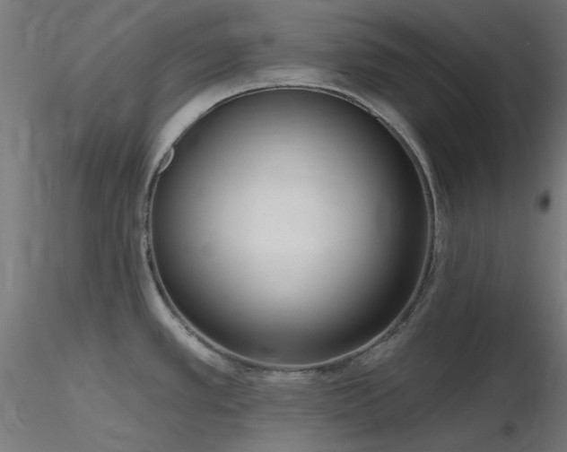 X0000116771389200912171523