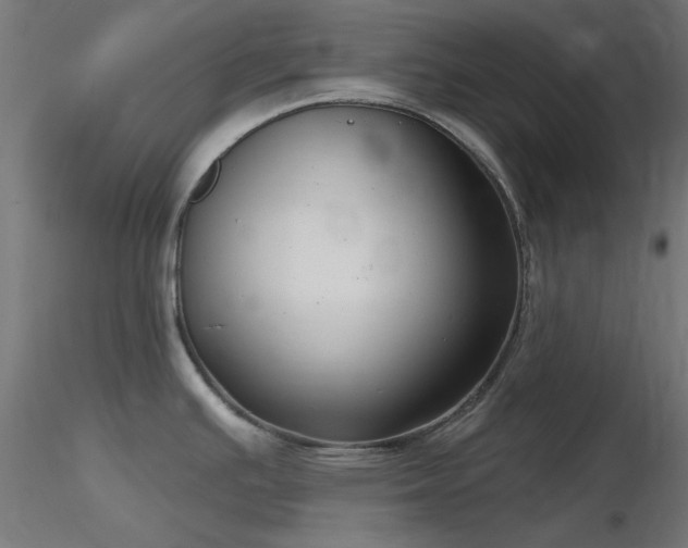 X0000116771391200912171523
