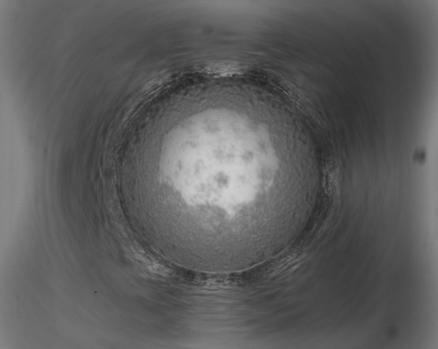 X0000116771393200912171522