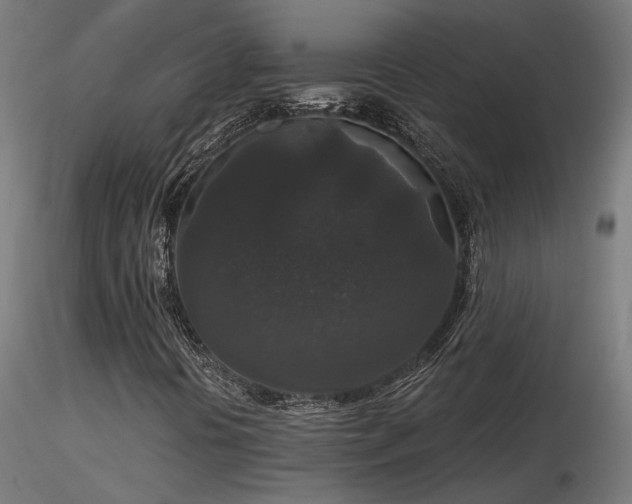 X0000116771394200912171522