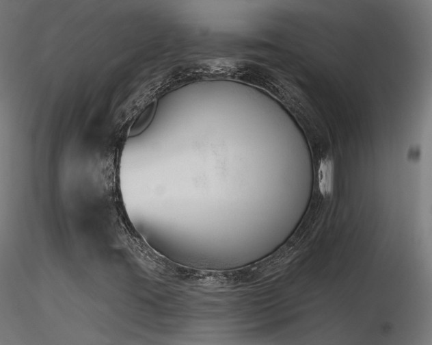 X0000116771395200912171522