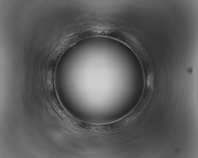 X0000116771396200912171522