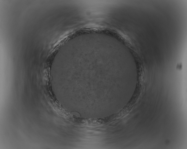 X0000116771397200912171522