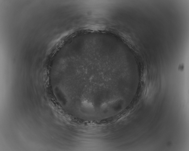 X0000116771398200912171522