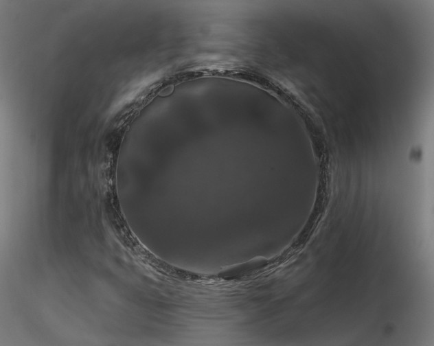 X0000116771399200912171522