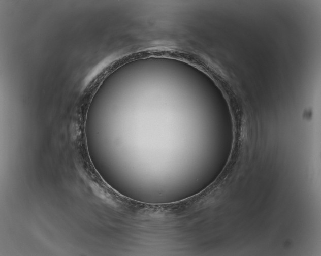 X0000116771400200912171522