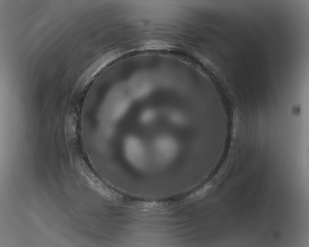 X0000116771401200912171522