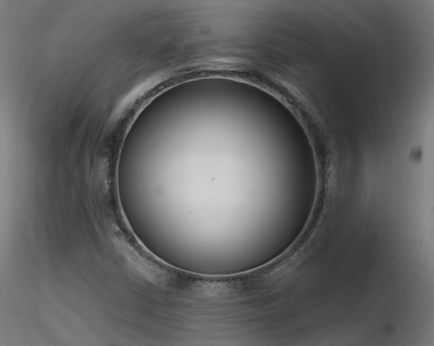 X0000116771402200912171522