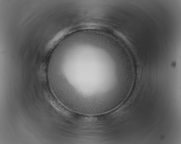 X0000116771403200912171522