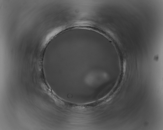 X0000116771405200912171522